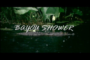 Bayou Shower